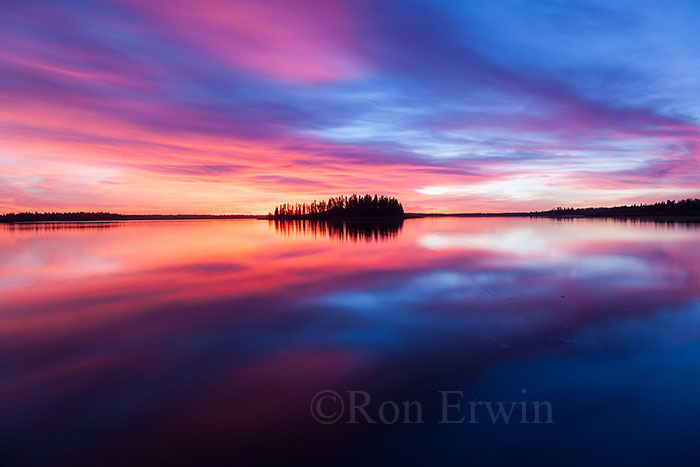 Elk Island National Park, AB