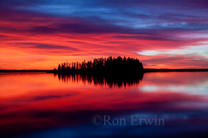 Elk Island National Park, AB