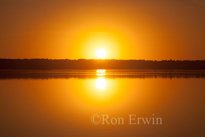 Elk Island National Park, AB