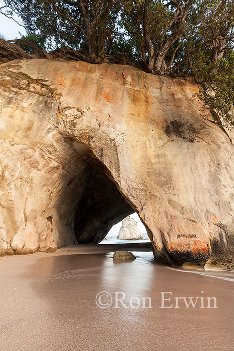 Cathedral Cove, New Zealand