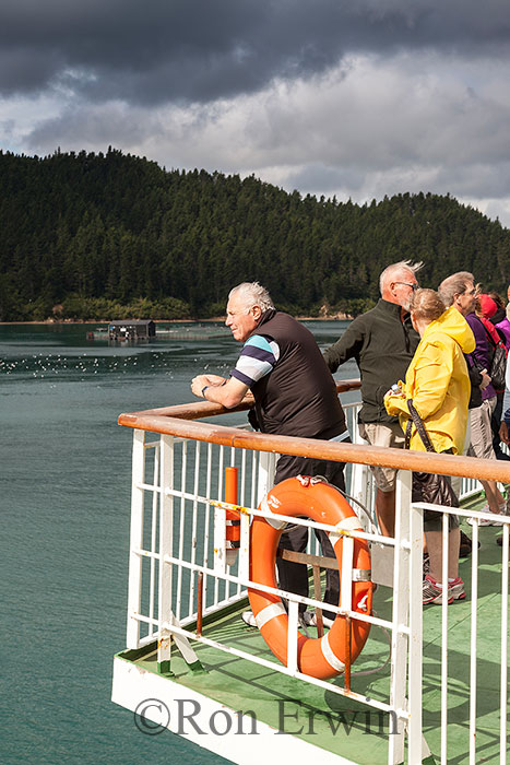 On the Interislander Ferry, NZ