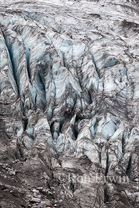 Fox Glacier, New Zealand