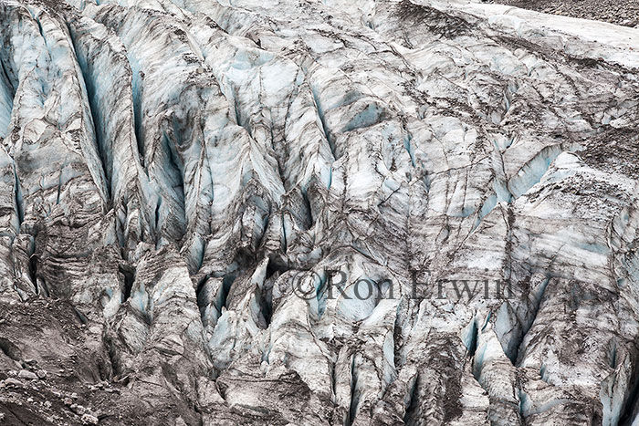 Fox Glacier, New Zealand
