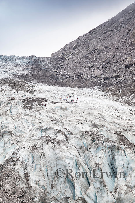 Fox Glacier, New Zealand