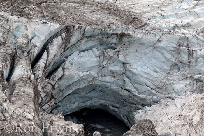 Fox Glacier, New Zealand
