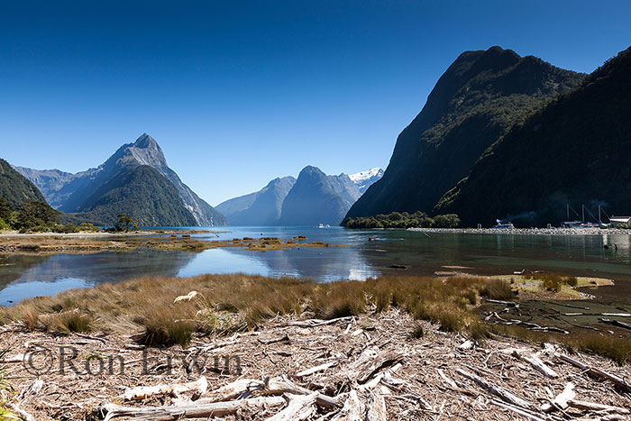Milford Sound, NZ