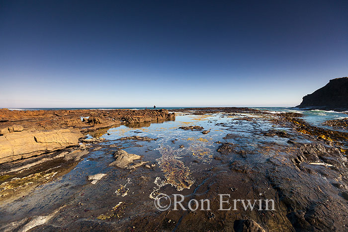 Curio Bay, New Zealand