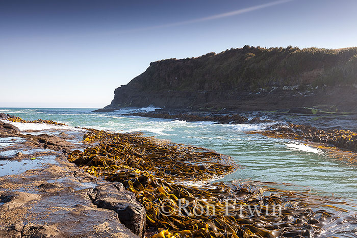 Curio Bay, New Zealand