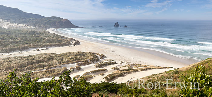 Sandfly Bay, New Zealand
