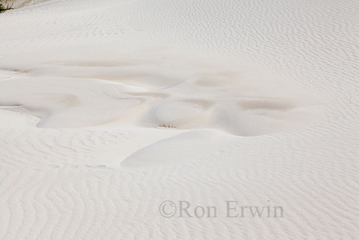 Sand Dunes, New Zealand