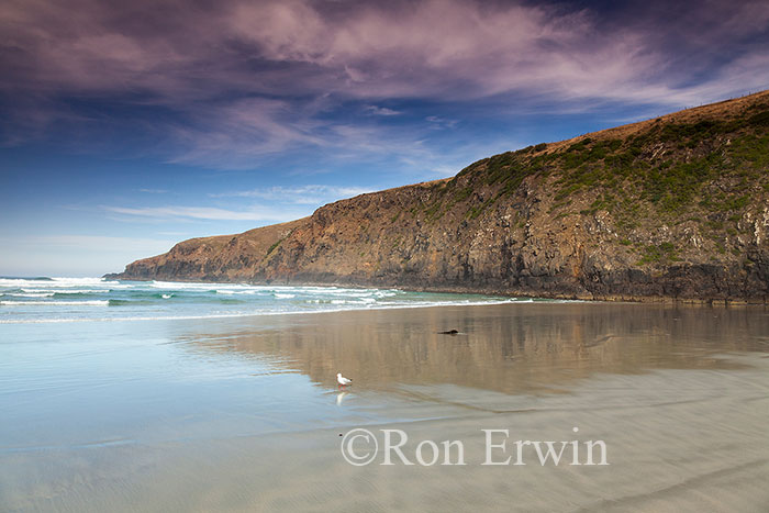 Sandfly Bay, New Zealand