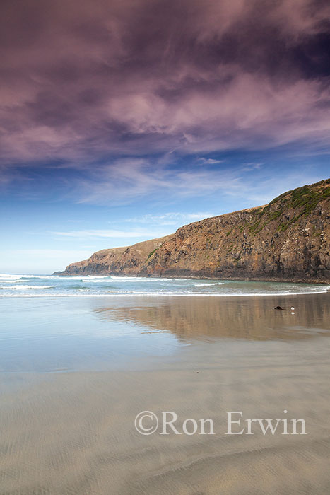Sandfly Bay, New Zealand