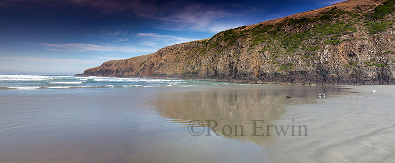 Sandfly Bay, New Zealand