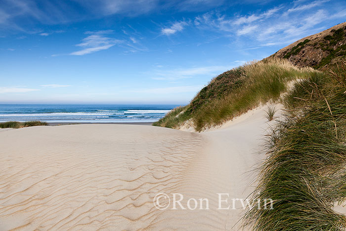 Sandfly Bay, New Zealand