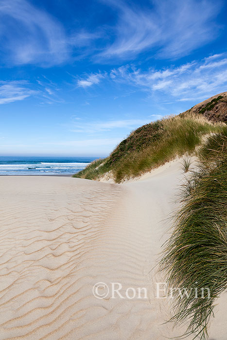 Sandfly Bay, New Zealand