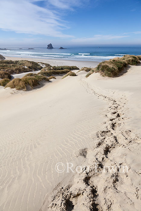Sandfly Bay, New Zealand
