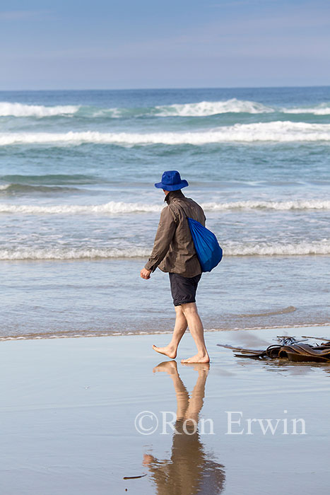 On Sandfly Bay Beach, NZ
