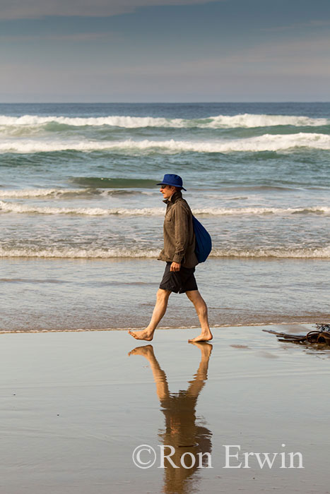 On Sandfly Bay Beach, NZ