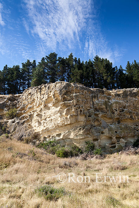 Maori Rock Art