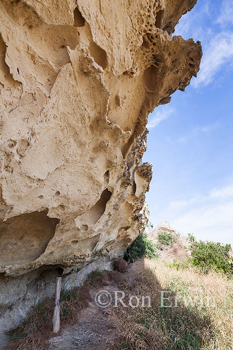 Maori Rock Art