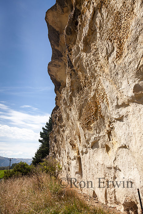 Maori Rock Art