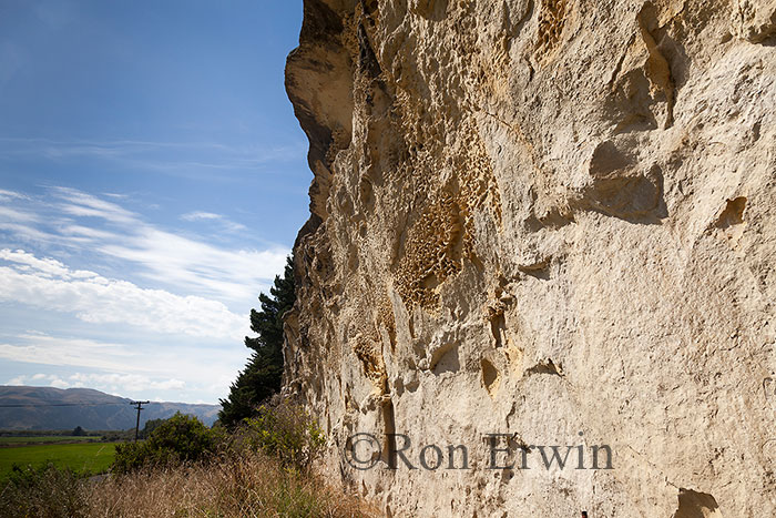 Maori Rock Art