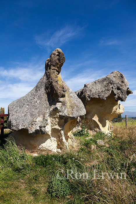 Maori Rock Art