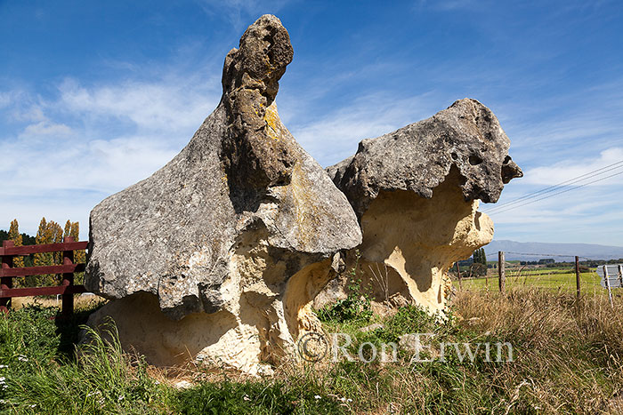 Maori Rock Art