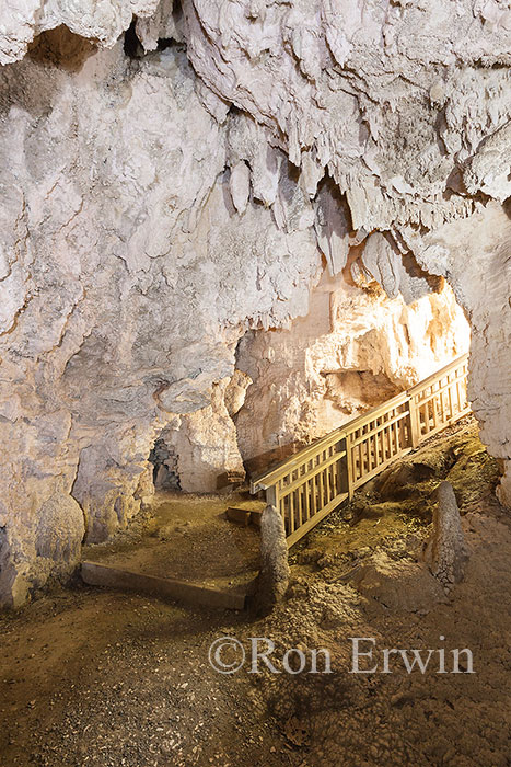 Ruakuri Natural Tunnel, NZ