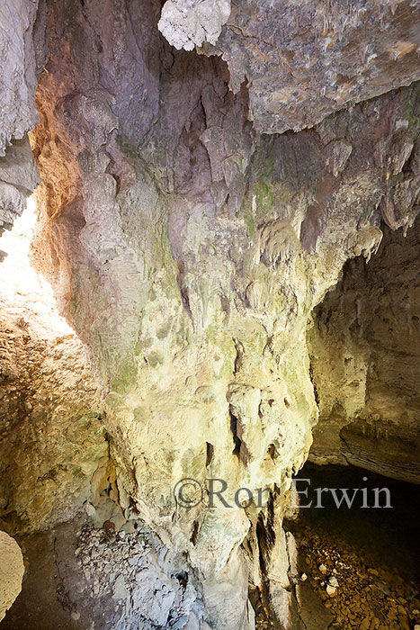 Ruakuri Natural Tunnel, NZ