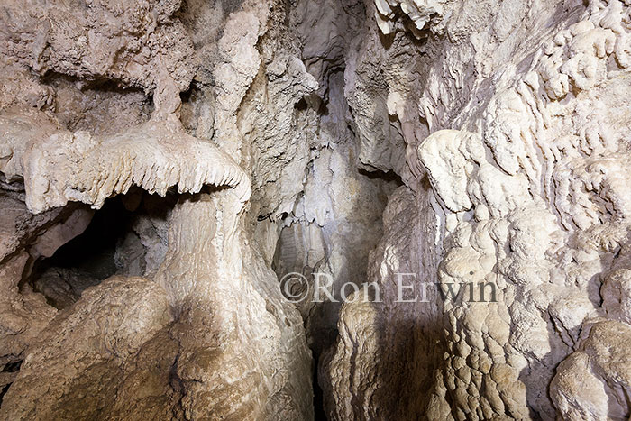 Ruakuri Natural Tunnel, NZ