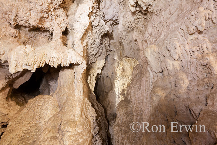 Ruakuri Natural Tunnel, NZ