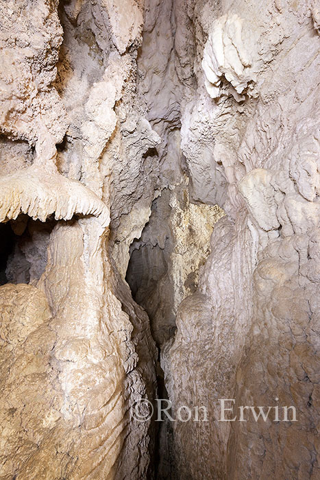 Ruakuri Natural Tunnel, NZ