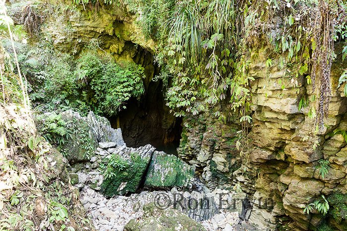 Ruakuri Natural Tunnel, NZ