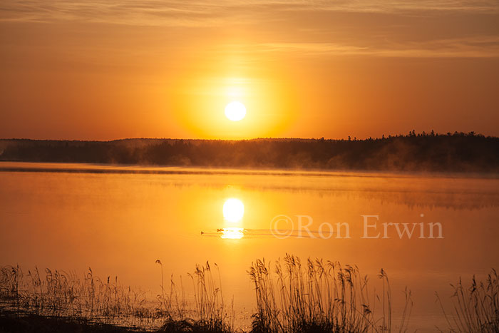 Manitoulin Island Dawn