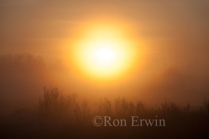 Manitoulin Island Dawn