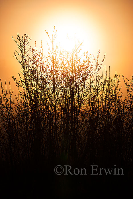 Manitoulin Island Dawn