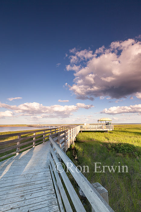 Kouchibouguac National Park, NB