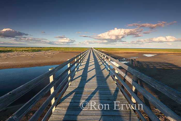 Kouchibouguac National Park, NB