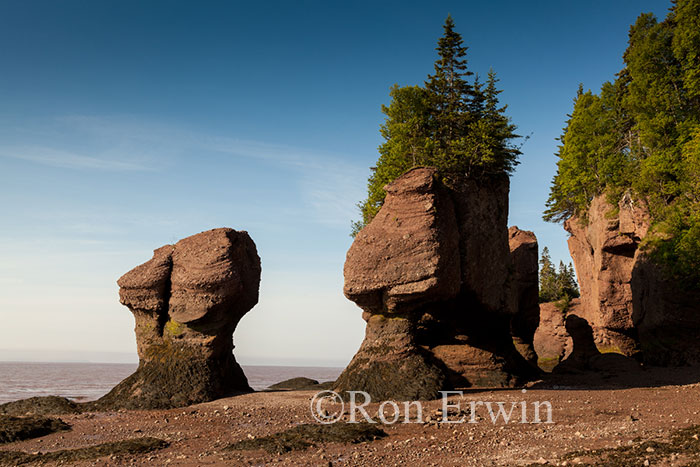 Hopewell Rocks, NB