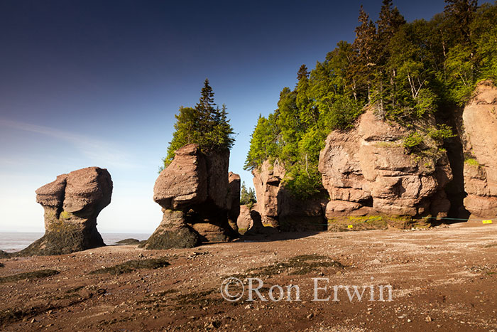 Hopewell Rocks, NB