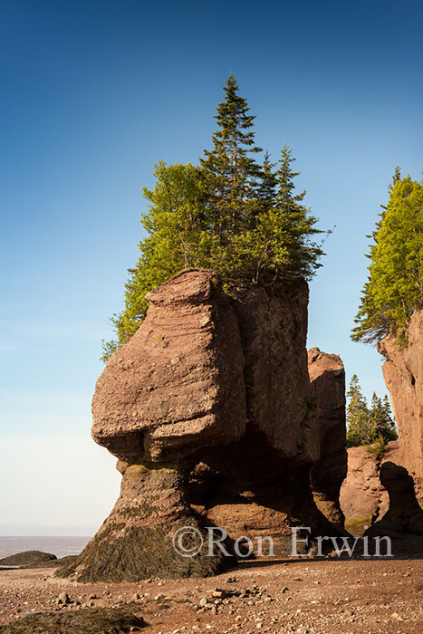 Hopewell Rocks, NB