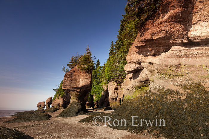 Hopewell Rocks, NB