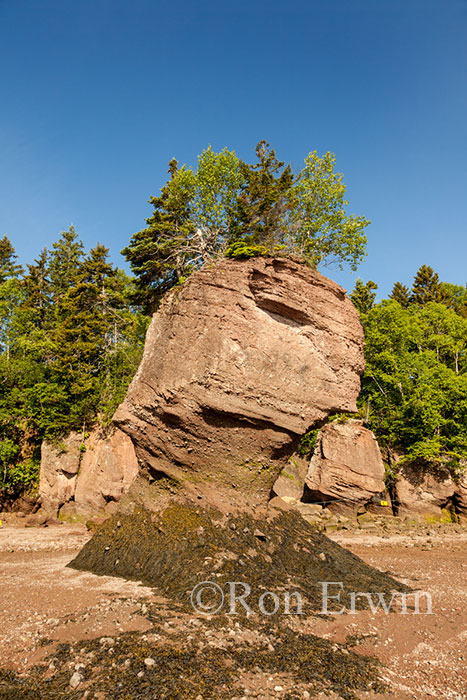 Hopewell Rocks, NB