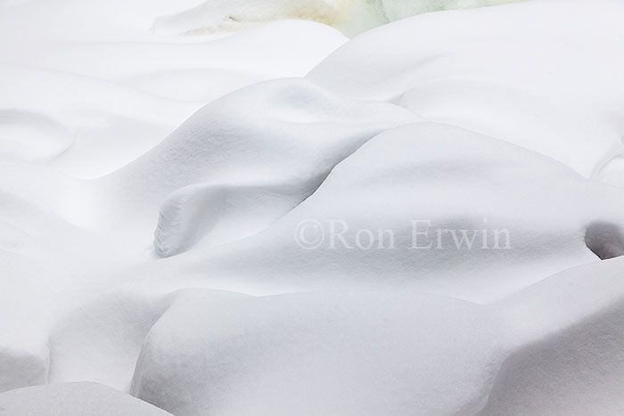 Snow Textures in Muskoka
