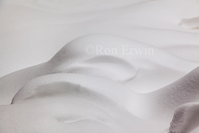 Snow Textures in Muskoka