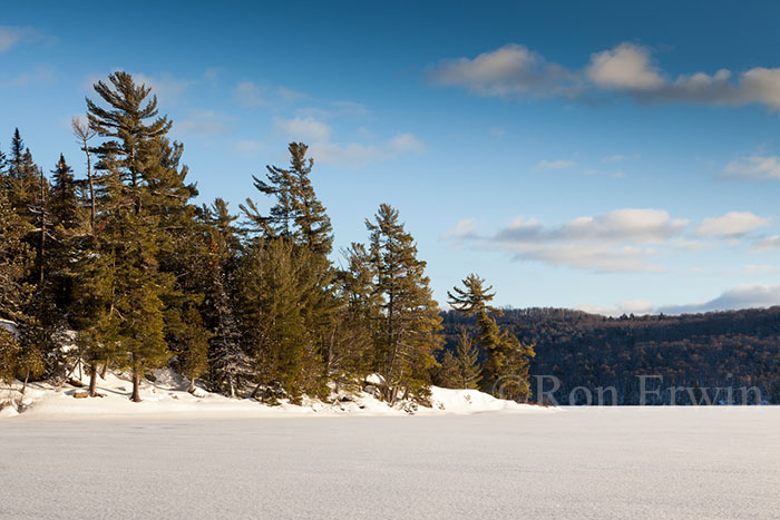 Lake of Two Rivers, Algonquin, ON