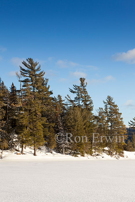 Lake of Two Rivers, Algonquin, ON