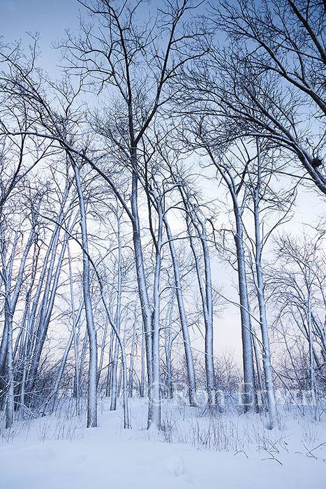 Presqui'ile Provincial Park, ON