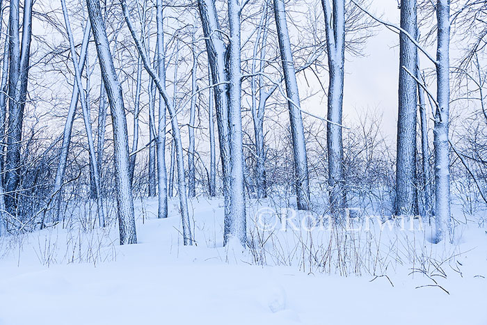 Presqui'ile Provincial Park, ON